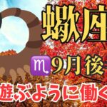 【蠍座9月後半のメッセージ】ちゃんとしてない自分も受け入れる。遊ぶように働くことで最高の結果がやってくる