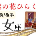 乙女座10月は【才能が開花】こりゃスゲ〜❗️動く時がきましたよ❗️前半後半仕事恋愛人間関係♍️【脱力系タロット占い】