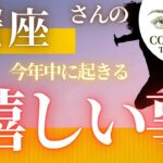 蟹座さんの♋️ 【今年中に起きる嬉しい事🌅】２０２４　ココママの個人鑑定級タロット占い🔮