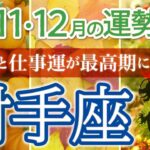 【大逆転】射手座♐️大チャンスが来ています❗️必ず掴んで✊4四半期リーディング🐉仕事運,人間関係運,恋愛運,金運,財運,家庭運,事業運,全体運［タロット/オラクル/ルノルマン/風水］