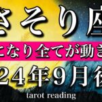 さそり座♏︎2024年9月後半 素直になり全てが動き出す！　Scorpio tarot reading