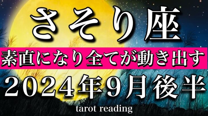 さそり座♏︎2024年9月後半 素直になり全てが動き出す！　Scorpio tarot reading