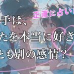 【結論】あの人は私のことを好き？本音でどう思ってる？あの人の気持ち。あなたへの印象。今後どうなりたいか【男心タロット、細密リーディング、個人鑑定級に当たる占い】