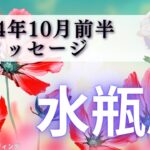 【みずがめ座10月前半】奇跡の出かた💎✨苦しみから抜けていく🍀信頼感も上がる🫶