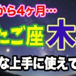 12星座別！2024年末までふたご座木星を上手く使って良い波乗ってこ♪【西洋占星学】