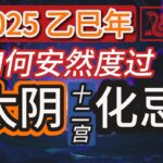 紫微斗数分享| 2025乙巳年| 如何度过太阴化忌的一年| 化忌在十二宫| 天机禄天梁权紫微科太阴忌|#紫微斗数 #太阴化忌