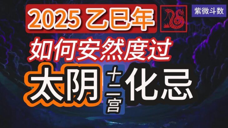 紫微斗数分享| 2025乙巳年| 如何度过太阴化忌的一年| 化忌在十二宫| 天机禄天梁权紫微科太阴忌|#紫微斗数 #太阴化忌