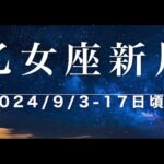 乙女座新月のテーマ『環境に適応しながら上のステージへ』 2024/9/3-17 日頃迄の過ごし方、浄化、11月20日から始まる『風の時代』本格始動迄の調整期