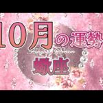 ✨蠍座✨10月の運勢✨君に届け✨