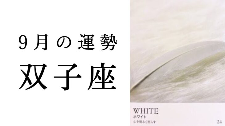 【双子座🌿9月の運勢】前代未聞の展開に言葉を失いました😳感動的なフィナーレがふたご座を待っている✨2024年タロット占い