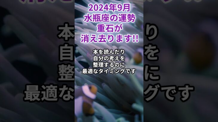 2024年9月　水瓶座の運勢　重石が消え去ります!!