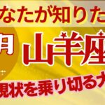 山羊座🍀占い2024年１０月💗苦難の人生における傾向と対策💫タロット＆オラクルカード【全体運】【人間関係】【仕事運】【恋愛運】【幸運の鍵】