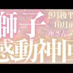 獅子座さん9月後半〜10月前半運勢♌️今、伝えたいこと🫧人生の分岐🫶感動の神回✨仕事運🌈恋愛運💫金運【#占い #しし座 #当たる】