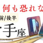 射手座10月【手放す】もう何も恐れない❗️逆境を超えていく❗️前半後半仕事恋愛人間関係♐️【脱力系タロット占い】