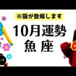 魚座、最高の１０月になります！！！とてつもない神運気の波！！高次元からギフトが届く🎁全体運勢♓️仕事恋愛対人不安解消評価と印象【個人鑑定級タロットヒーリング】