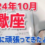 【2024年10月蠍座さんの運勢】頑張って来たよね。自分を癒して【ホロスコープ・西洋占星術】