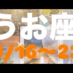 うお座✨9/16～22🌈安全な道🍀一つづつ一つづつ#うお座 #うお座の運勢 #タロット占いうお座 #タロット占い魚座 #tarot #タロット恋愛