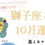 １０月獅子座♌︎さん運勢🫧🪽🩵🌏学び・情報・コミュニケーションが鍵🗝️❣️🦁✨