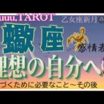 受け入れて新しく生み出す🐣蠍座♏️さん【乙女座新月🌚〜理想の自分に近づくために】#2024 #星座別 #タロット占い