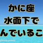 【蟹座】カードの引きが強すぎました❗️❣️ ＃タロット、＃オラクルカード、＃ルノルマン、＃当たる、＃占い