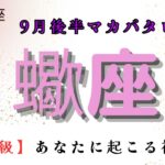 【鳥肌級‼️】あなたに起こる神展開✨　蠍座　9月後半マカバタロット占い　#マカバ #タロット #タロット占い #恋愛 #スピリチュアルタロット