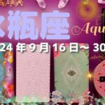 水瓶座★2024/9/16～30★お金、お仕事、もしくは生活に密着した人間関係において大きな変化がある！努力が実って次のステージに進む時