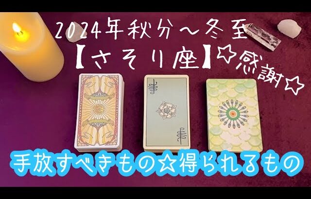 【さそり座】2024年秋分〜冬至の運勢★才能を活かし対価として豊かさを受け取っていく‼️自分がやらなくてもいいことを手放す🙌バランスの良さと愛情を得られる👍