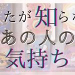 あなたが知らないあの人の気持ち。あの人に今起こっていること… 【恋愛・タロット・オラクル・占い】