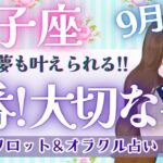 【双子座】今、必要なメッセージ💝 潜在能力!! 覚醒のための通過点!! 最高の明日を迎えよう🕊️✨【仕事運/対人運/家庭運/恋愛運/全体運】9月運勢  タロット占い