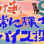 【射手座】2024年9月後半の運勢♐️〝人生に輝きのスパイスを投入‼️温度差や違いを受け入れていい落とし所を見つけていく⭐️〟仕事・人間関係のタロットリーディング🔮