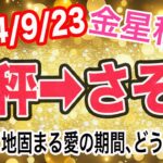 衝撃展開から濃厚な繋がりへ！？金星てんびん座→さそり座移動で起こる変化と影響は！？【2024/9/23 蠍座】