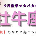 【鳥肌級😲】あなたに起こる神展開‼️ 牡牛座　9月後半マカバタロット占い　#マカバ #スピリチュアルタロット #タッロットカード