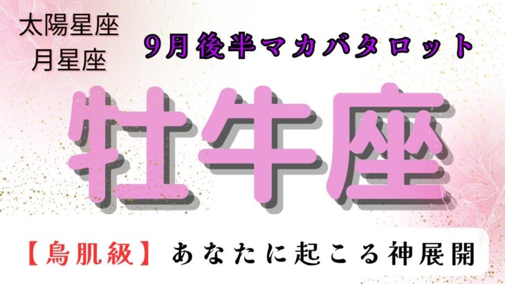 【鳥肌級😲】あなたに起こる神展開‼️ 牡牛座　9月後半マカバタロット占い　#マカバ #スピリチュアルタロット #タッロットカード