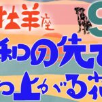 【牡羊座】2024年9月後半の運勢♈️〝調和の先で打ち上がる花火‼️周囲の方とのコミュニケーションを大切にすることで大きなものを手にいれる☀️〟仕事・人間関係のタロットリーディング🔮