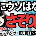 【蠍座】♏️2024年9月9日の週♏️心にうそはない。戦略を立てる時期。未来は大きく成功していく。タロットリーディング