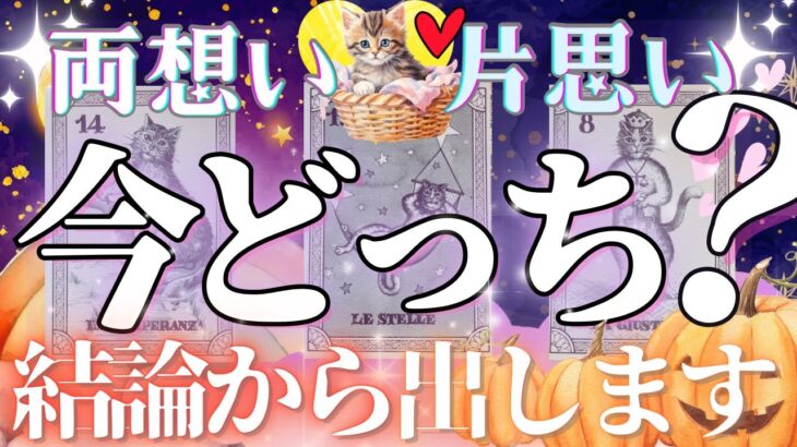 【最新❣️🎃Yes No出ます🐱結論からガチ忖度なし‼️🩷】両思い・片思い今どっち？【お相手様のお気持ち♦︎有料鑑定級♦︎辛口あり】