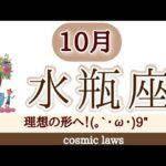 水瓶座さん♒必ず上手くいくと決める！嬉しいものや楽しいことがたくさん引き寄せられてくる