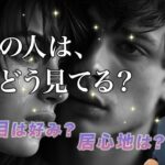 今あの人はあなたをこう見てる🤫本心から好き？一緒にいる時の気持ちは？【男心タロット、細密リーディング、個人鑑定級に当たる占い】