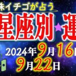 ★忖度なし★2024年9月16日〜9月22日の星座別の運勢★運気を上げるアドバイスつき★