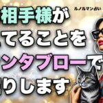 恋愛占い・グランタブローで深掘りします🦸‍♀️今お相手様は何を考えてる？全力タロット・ルノルマン鑑定【タロット占い・ルノルマン占い】