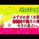 みずがめ座（水瓶座）2024年10月の運勢｜今月の星占い.