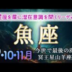 魚座♓️どう転んでも豊かでハッピーにしかならない！あとは如何に生活をシンプルにし居心地良く質を上げていくかの1ヶ月✨ #2024年9月魚座 #カードリーディング #ホロスコープ #月間占い #月読み