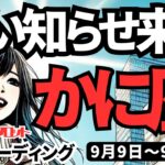 【蟹座】♋️2024年9月9日の週♋️勝利のお知らせが来る。走り抜けていく私。良いお知らせを楽しみに。タロットリーディング