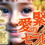 【双子座♊9月中旬運勢】緊急性が高い！！もう無視できない　御先祖様からの愛のセラピーで深部から癒される　✡️キャラ別鑑定/ランキング付き✡️