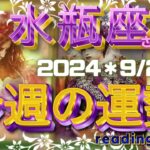 ♒️【水瓶座さん特化型】＊今週の運勢＊2024/9月2〜8日🔮感動で、思わず涙🥹『これが私である』の話し#10⚠️