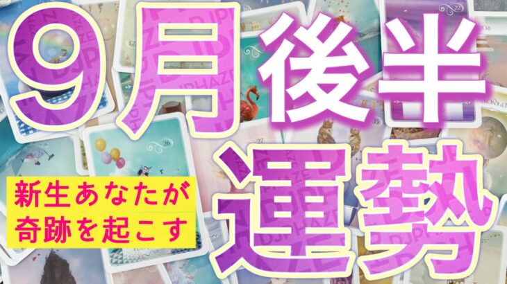 【16日から30日】選択肢◯さんに最強カード連続🩷あなたに起こりそうな事、気をつけること、恋愛仕事健康運、ラッキーアイテム、カラー🌹個人鑑定級