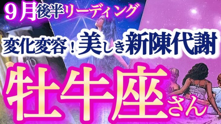 牡牛座  9月後半【運気の節目で大上昇！秘訣は自分自身の棚卸しと休息】思わず興奮！シンクロしまくりリーディング　　おうし座　2024年９月　タロットリーディング