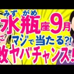 【みずがめ座9月】重要⚠️水瓶座さんへのﾒｯｾｰｼﾞ多すぎｨ😇※長くてｽﾐﾏｾﾝ🥹♒水瓶座♒️なぜかよく当たる?!😳きっと役に立つタロット オラクルカード 西洋占星術 詳細リーディング【占い】