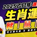 【豬🐷、鼠🐭、牛🐮】易龍師傅預測2025蛇年十二生肖運勢︱2025犯太歲、人緣運、財運、事業運、姻緣運生肖詳講《#易龍知玄機︱第370集》CC字幕︱流年運程︱生肖運勢︱蛇年運程︱FMTV