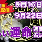 【週間占い】2024年9月16日(月)〜9月22日(日)新しい運命